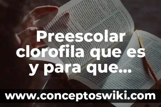Preescolar clorofila que es y para que sirve