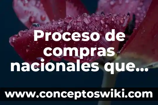 Qué es un plan de compras indirectas 5 Proceso de compras nacionales que es