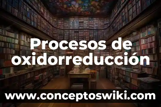 Qué es fundamental y procesos tinsón gram 6 Procesos de oxidorreducción