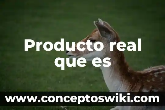 Que es consistencia de un producto 8 Producto real que es