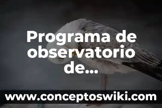Que es programa dual 5 Programa de observatorio de accesibilidad que es