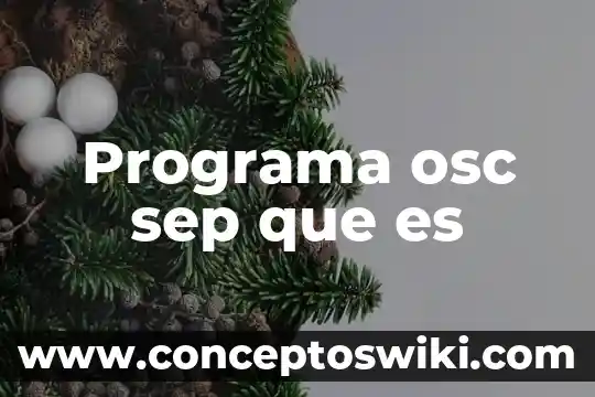 Que es un programa de radio sus partes y funciones 3 Programa osc sep que es