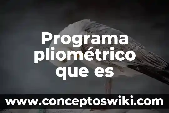 Que es un programa de inspecciones 7 Programa pliométrico que es