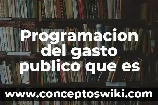 Que es el gasto volumetrico ejemplos 5 Programacion del gasto publico que es