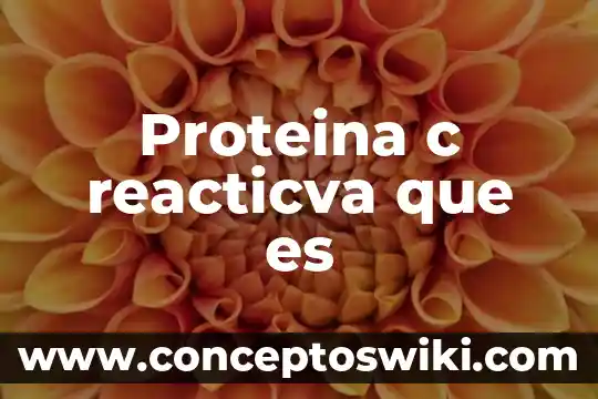 Que es desarrollo c 3 Proteina c reacticva que es