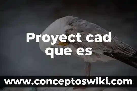 A que es acaecer 3 Proyect cad que es