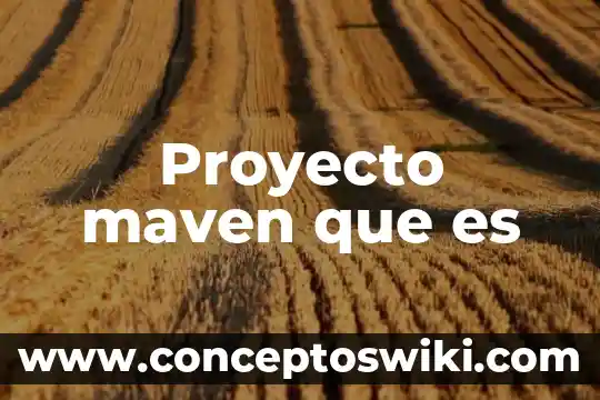 Que es la metodoliga en un proyecto 5 Proyecto maven que es