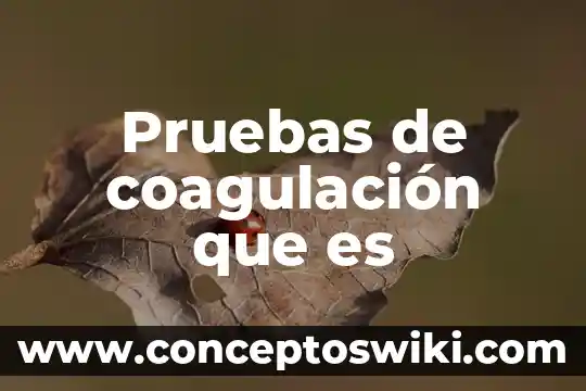 Que es un patio de pruebas 3 Pruebas de coagulación que es