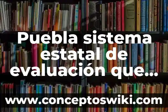 Que es rectificacion administrativa de acta de nacimiento puebla 4 Puebla sistema estatal de evaluación que es