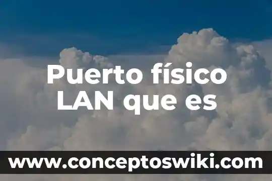 Que es una red lan definicion 3 Puerto físico LAN que es