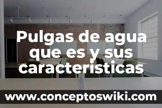 Sangrado como agua que es 5 Pulgas de agua que es y sus caracteristicas