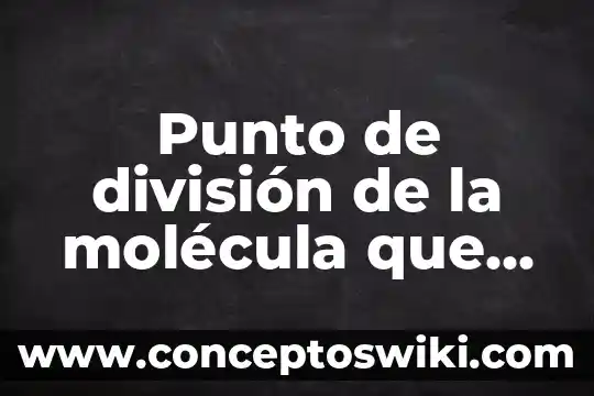 Que es un punto concavo 8 Punto de división de la molécula que es