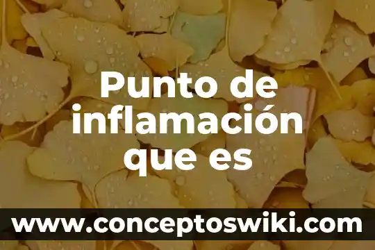 Qué es el bep punto equilibrio 4 Punto de inflamación que es