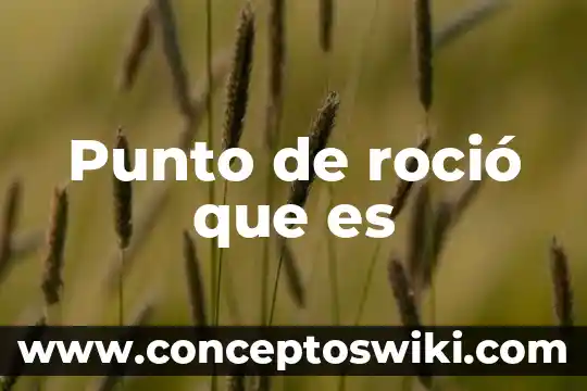 Que es un punto de cruz 5 Punto de roció que es