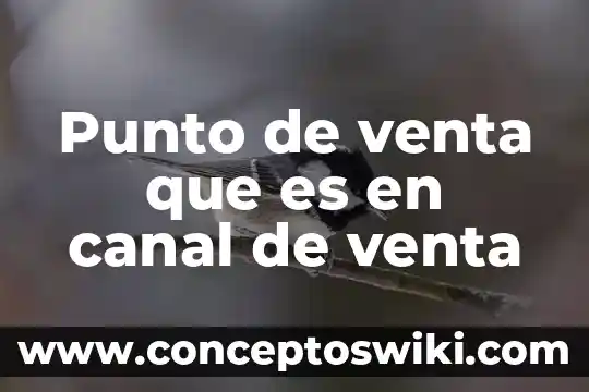Que es la representación de venta 7 Punto de venta que es en canal de venta