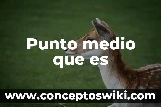 Qué es bordado punto de cruz 6 Punto medio que es