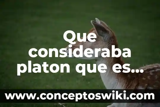 Según Platón que es filosofar 8 Que consideraba platon que es feo filosofia