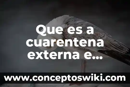Que es la fragmentación interna 3 Que es a cuarentena externa e interna