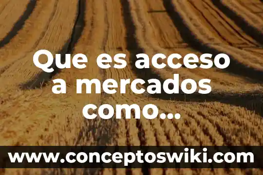 Que es proceso de acceso lexico 5 Que es acceso a mercados como estrategia