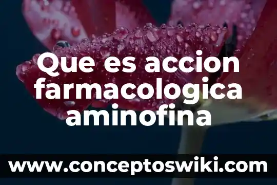 Que es el umbral en el potencial de accion 3 Que es accion farmacologica aminofina