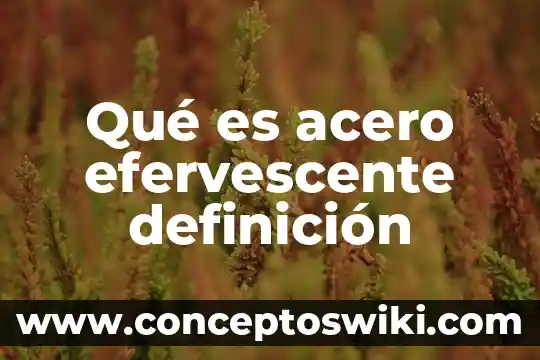 Que es heterotrofos definicion 5 Qu茅 es acero efervescente definici贸n