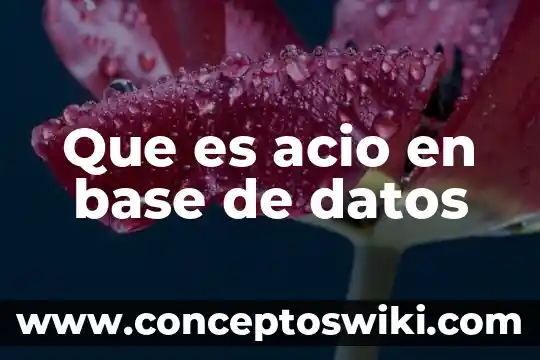 Qué es un sector en una base de datos 8 Que es acio en base de datos