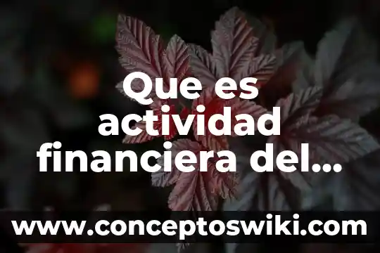 Qué es una actividad estrategias y recursos didácticos 5 Que es actividad financiera del estado