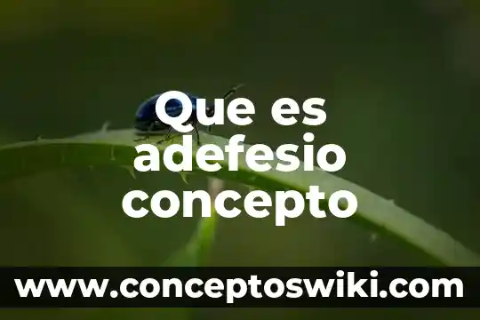 Qué es el concepto de sistemas 6 Que es adefesio concepto