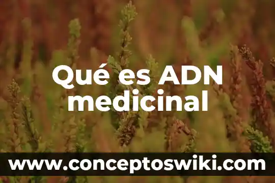 Que es el remolino como planta medicinal 8 Qué es ADN medicinal