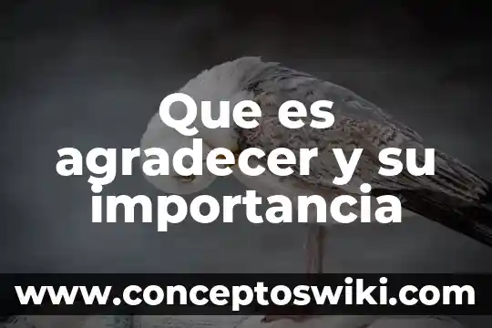 Que es el compuesto organico importancia 5 Que es agradecer y su importancia