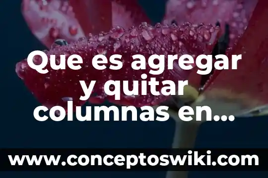 Que es un símbolo en word 5 Que es agregar y quitar columnas en word