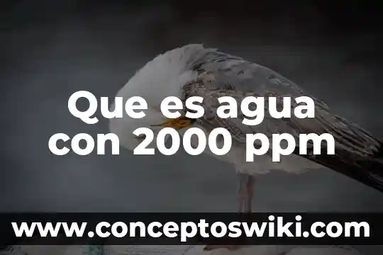 Qué es agua artificial 3 Que es agua con 2000 ppm