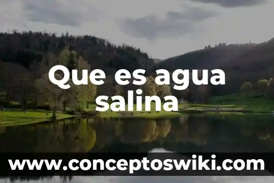 ¿Qué es la dureza del agua? 3 Que es agua salina