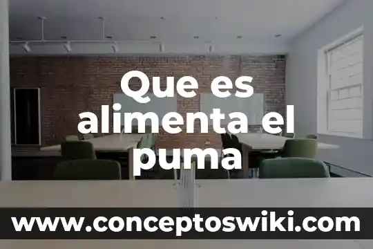 Que es ser judío alemán 3 Que es alimenta el puma