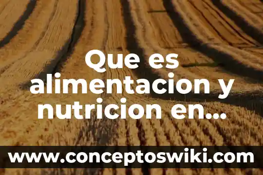 Que es una fuente de energia en nutricion animal 6 Que es alimentacion y nutricion en mexico