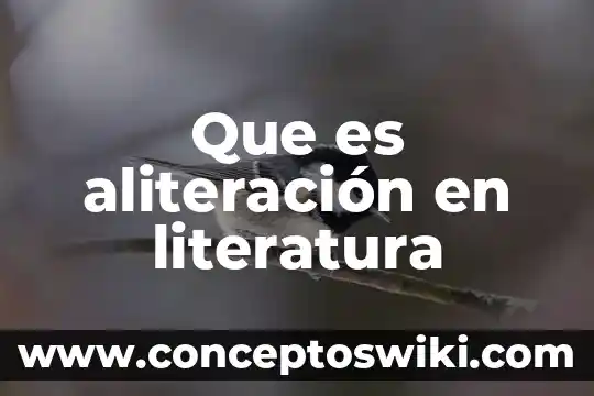Que es test en literatura 3 Que es aliteración en literatura
