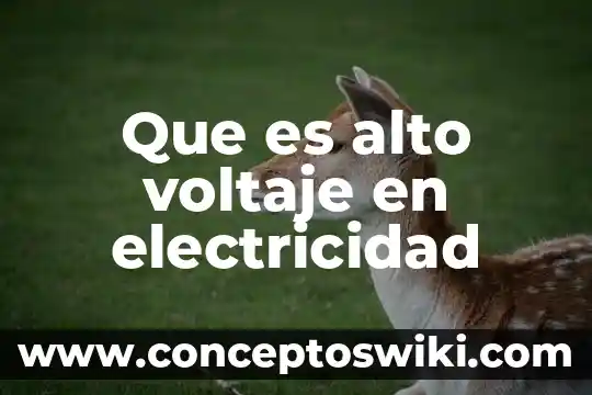 Qué es un esquema de electricidad 6 Que es alto voltaje en electricidad
