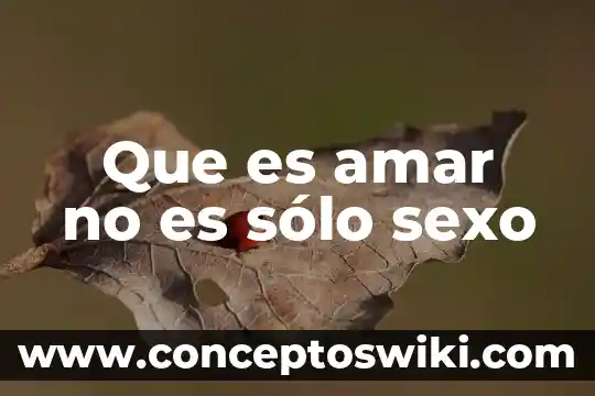 Solo interesada en lo que es para mi 3 Que es amar no es sólo sexo