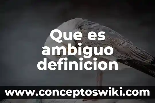 Que es aprensiva definicion 3 Que es ambiguo definicion