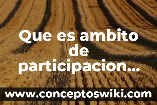 Que es la participacion civil 5 Que es ambito de participacion social