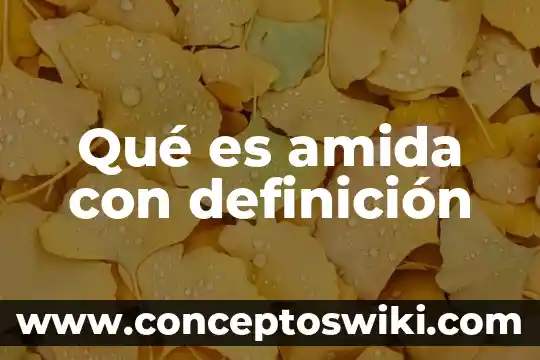 Que es el nombre de la sucursal o unidad csd 8 Qué es amida con definición