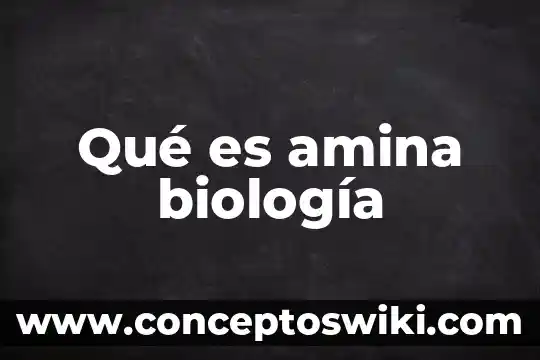 Que es perpetuacion en biologia 6 Qué es amina biología
