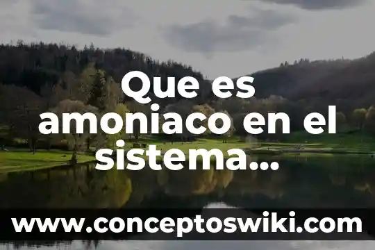 Qué es el sistema otec 4 Que es amoniaco en el sistema urinario