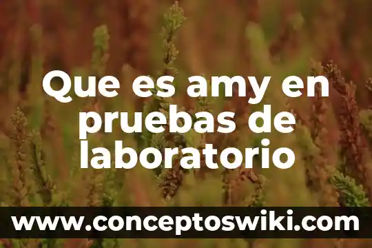 Informe de diagnostico de laboratorio que es 8 Que es amy en pruebas de laboratorio