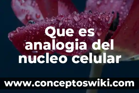 Conclusión de lo que es el núcleo celular 7 Que es analogia del nucleo celular