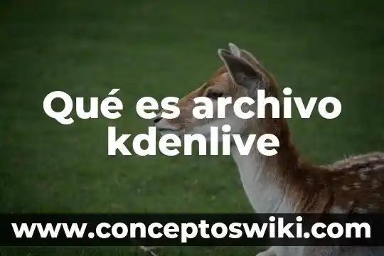 Que es un archivo fir en la e.firma 5 Qué es archivo kdenlive