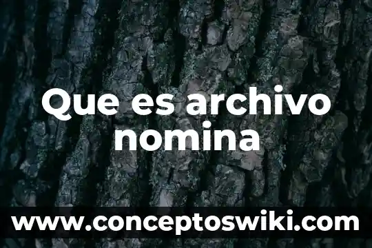 Que es y para que sirve la nomina 3 Que es archivo nomina