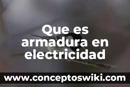 Qué es un esquema de electricidad 8 Que es armadura en electricidad