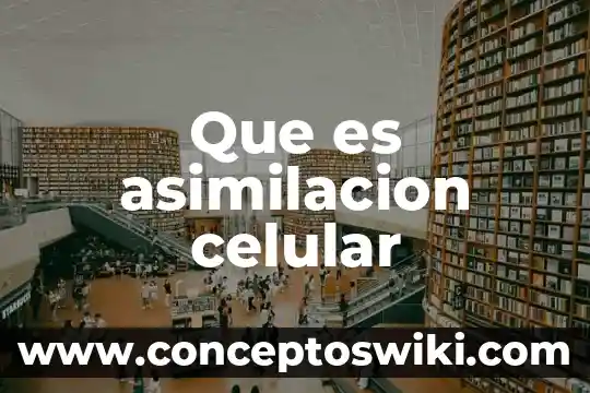 Qué es el poro celular animal 4 Que es asimilacion celular