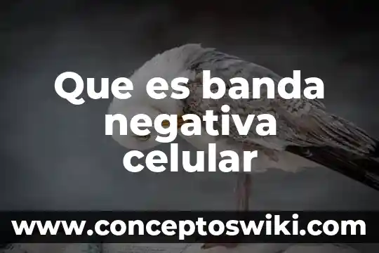 Que es la membrana celular citoplasma y nucleo 7 Que es banda negativa celular